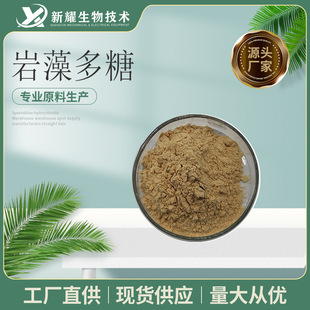 岩藻多糖  褐藻多糖 100g/袋 褐藻糖胶 活性多糖