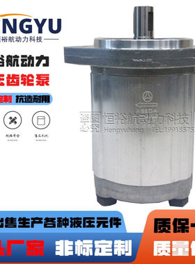 ASEDA齿轮泵SAP0.5DO.20油泵SAP10S4R SAM20-4.0 SAP20-31液压泵