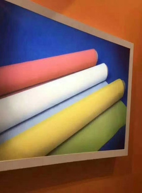 聚酯涤纶丝印网纱300目 120T-34线 白色黄色 1.27米宽