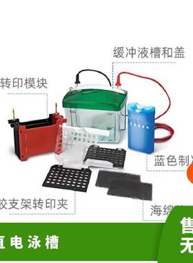 BIO-RAD伯乐垂直电泳槽1658001 数量99 短玻璃板10.1x7.3