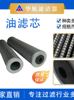 厂家供应替代300205打磨车滤芯 液压油站高压过滤器液压滤芯