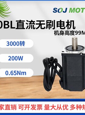 精选热卖S60BL99直流无刷电机24V48V310V200W3000转高速马达源头