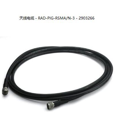 RAD-PIGSMA/N-329066菲