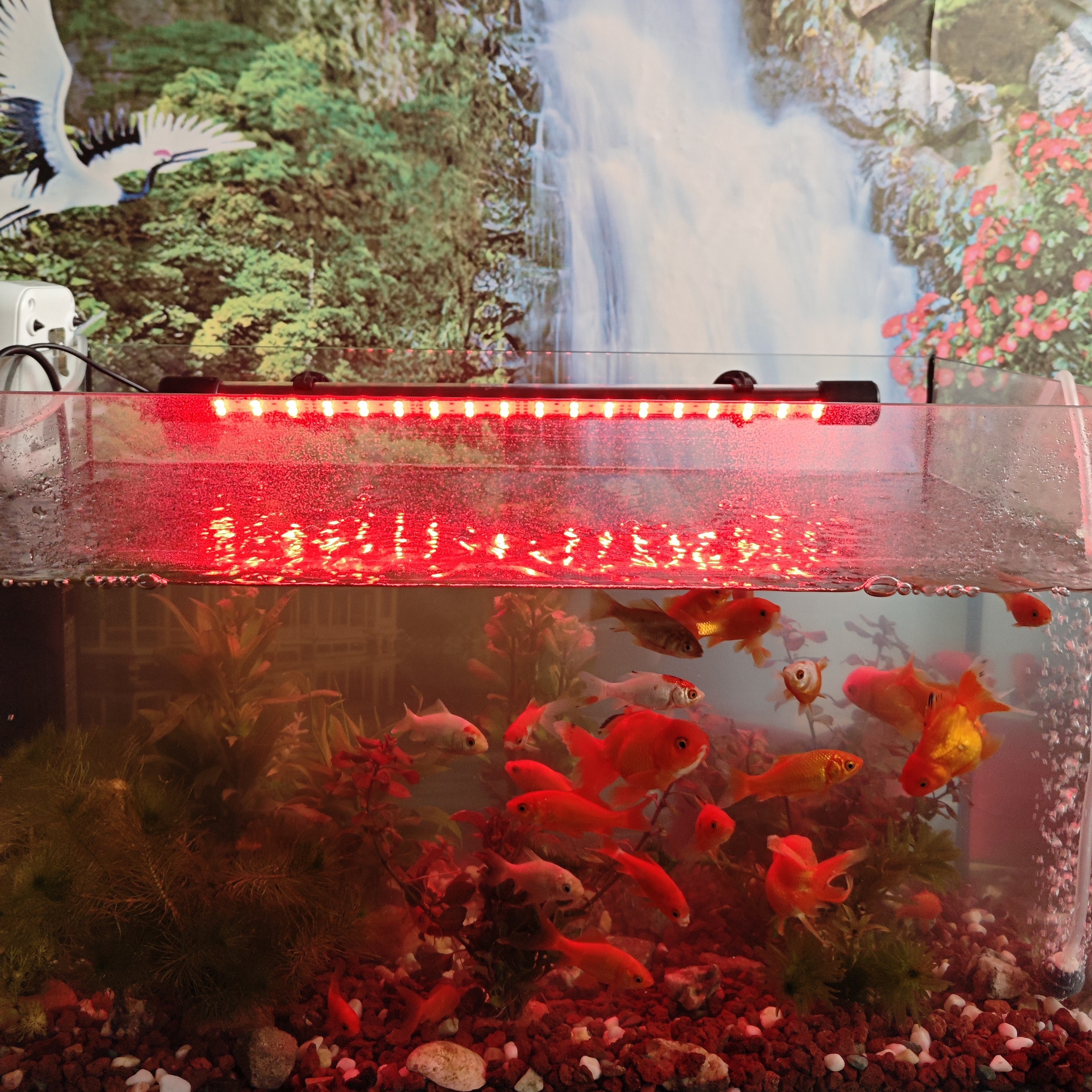 亿得胜定时鱼缸灯led灯防水 增色增艳高亮照明灯管水族灯七彩变色,宠物/宠物食品及用品,照明器材,淘宝优惠券,粉丝福利购,淘宝优惠卷