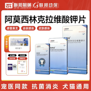 联邦金猫咪消炎片狗狗阿莫西林克拉维酸钾片速感冒药感染诺鼻支药