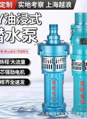 多级泵油浸式潜水泵220v高扬程大流量水井抽水泵农用工业排水灌溉