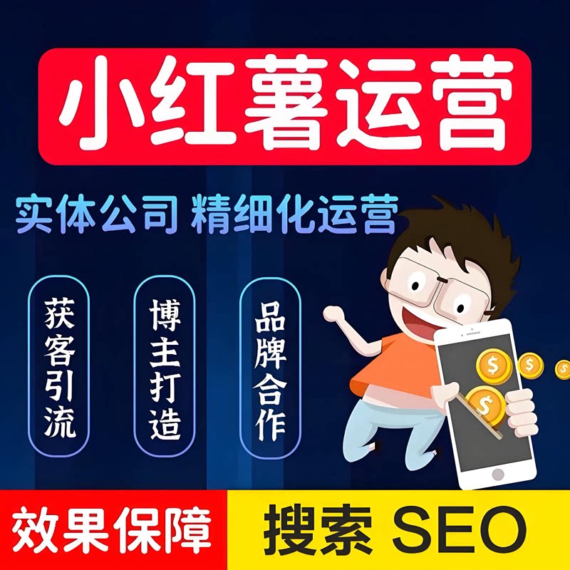 小红薯抖索SEO优化抖音网站关键词AI排名上首页收录谷歌百度推广图片