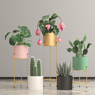 双圆套三铁艺花架厂家直销北欧风格 花盆客厅置物架植物架摆件 款