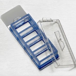 4孔培养滑板 箱 12个 24个 货号354114 包 falcon