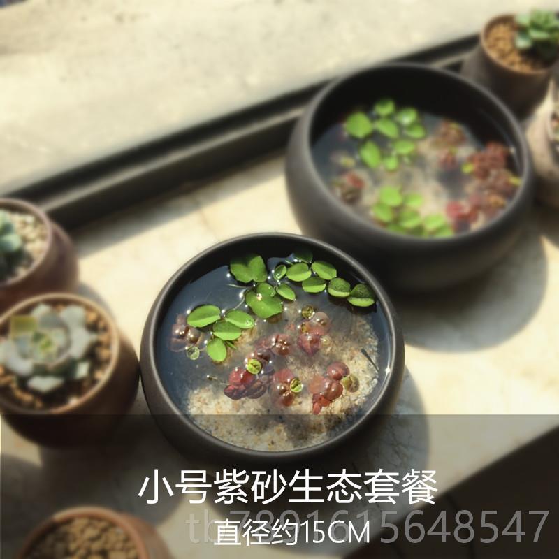 正品意紫砂陶瓷鱼缸桌生态面造景创微景观水培植物盆景浮萍盆观赏
