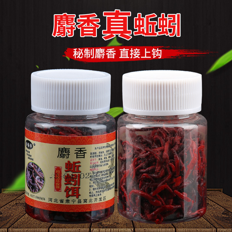 麝香假蚯蚓饵钓鱼饵料食鲫草鲤鱼