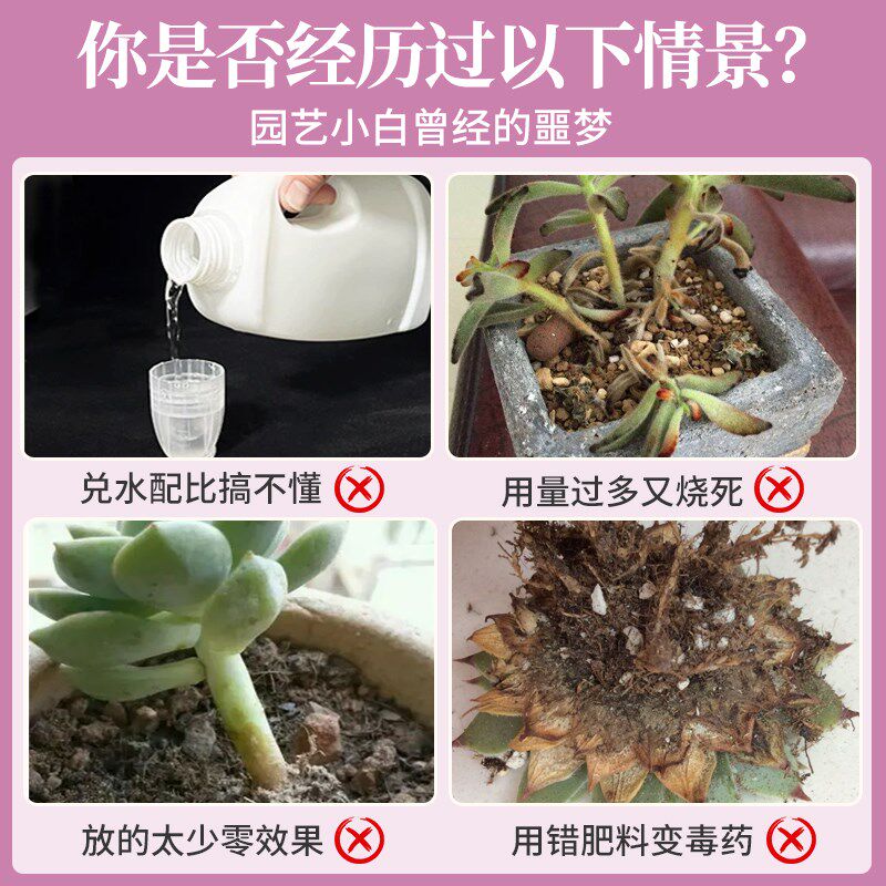 多肉营养液花g肥肉肉植物营养肥料专用肥增色免稀释叶面肥喷剂