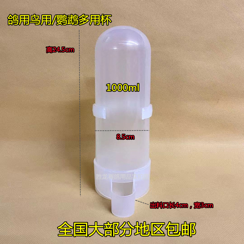 鸽具鸽子饮水器水壶自动喂水信鸽H用品用具鹦鹉喂食器鸟用壶