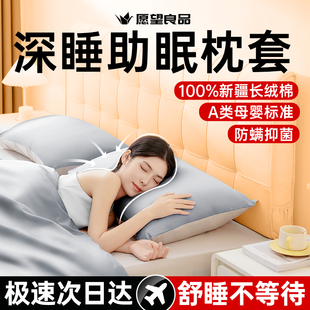 高级家用儿童枕芯套新款 A类母婴枕e套纯色防螨枕头套一对装 100