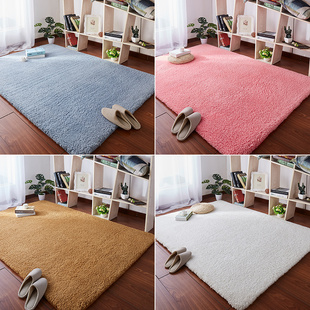 加厚毛绒床边地毯l卧室满铺少女网红房间布置地毯家用客厅茶几地