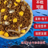 冻干猫粮猫咪英短蓝幼猫糕奶增肥成猫营H养发腮专用小鱼干蛋黄粒