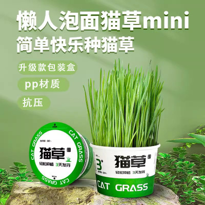 直供猫草盆栽小麦种籽水培盒懒人
