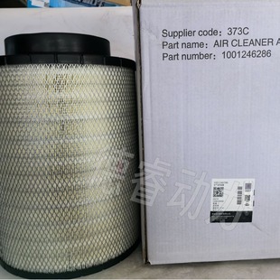 空气滤清器1001246286空气滤芯潍柴博杜安16M3320M33原厂Baudouin