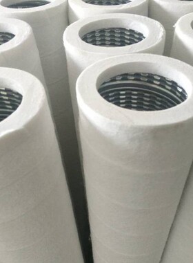 PPEF-336天然气末站过滤器滤芯PCHG-336 PCHG-12派高压天然气滤芯