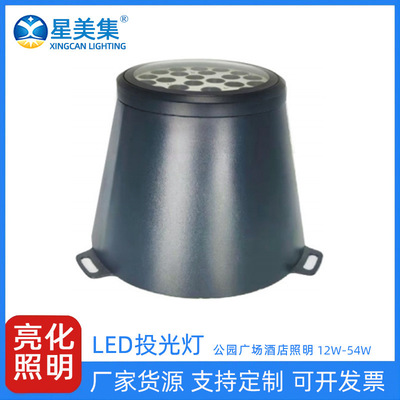 工程大功率公园花园庭院景观灯防水草坪灯12W18W24W36W54W