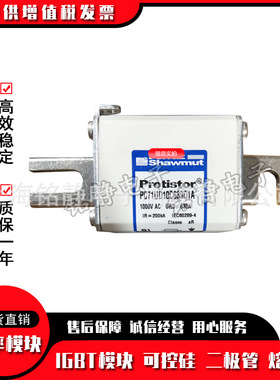 全新现货A110UD73LI900 L300689熔断器/保险丝