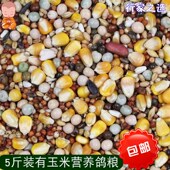 有玉米鸽粮赛飞营养饲料E鸟食信鸽观赏鸽肉鸽粮鸽子食 5斤装 包邮
