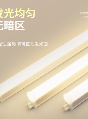 日光灯管暖光灯3000oK暖白黄色卧室宿舍餐饮商用灯带氛围T5led长
