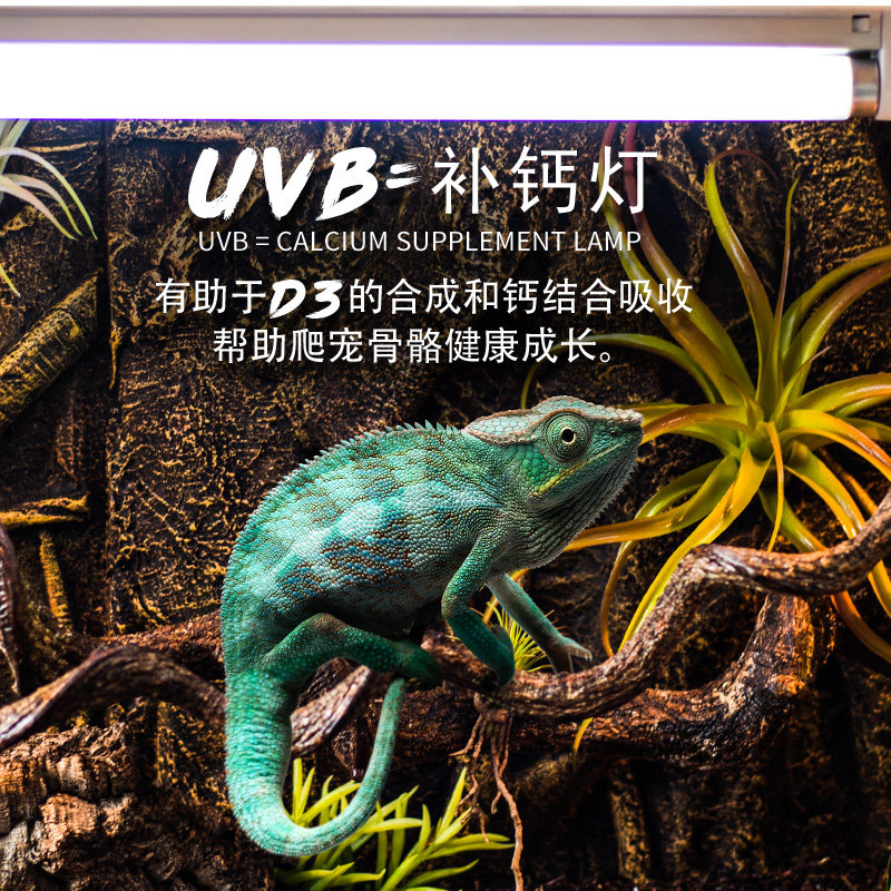 爬虫uvb灯管g变色龙蜥蜴爬宠饲养箱补钙晒背UVB灯10.0 5.0紫外线