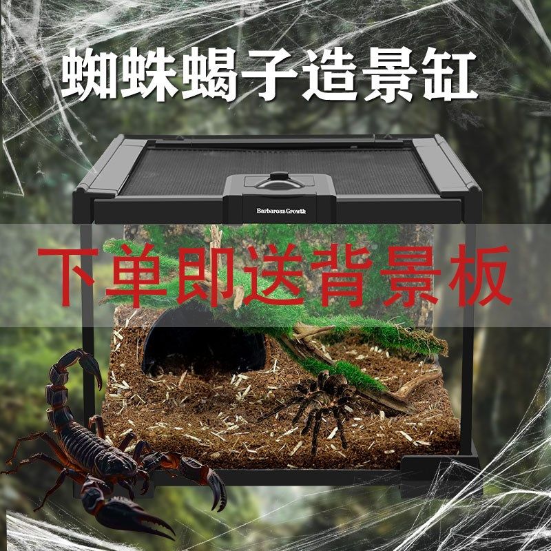 BG蜘蛛饲d养箱生态爬虫爬宠饲养缸雨林造景玻璃缸螳螂甲虫昆虫蝎