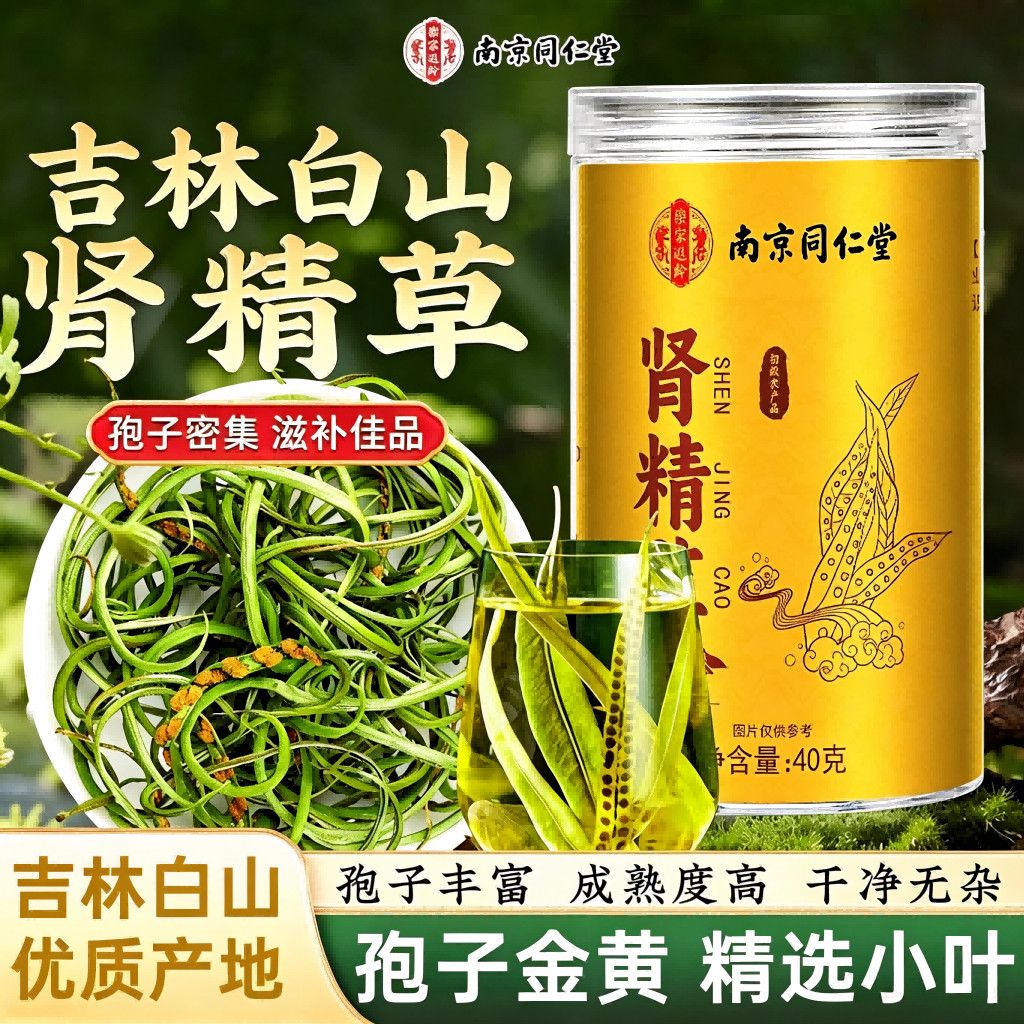 南京同仁堂肾精草长白山滋补茶