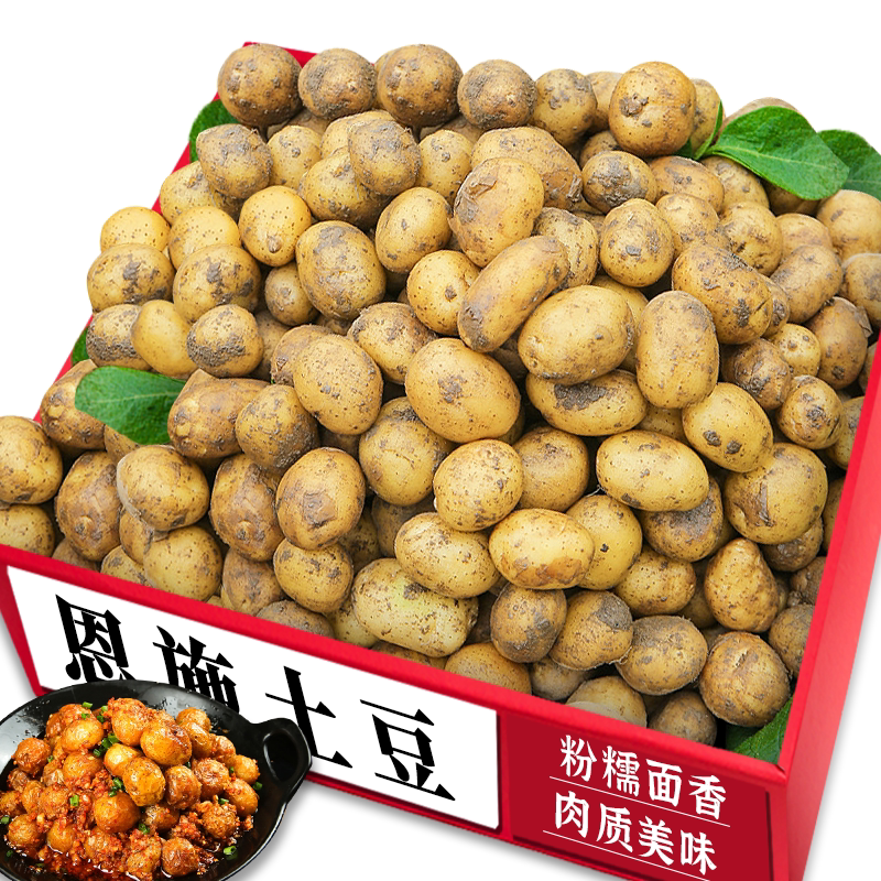恩施小土豆|农家现挖|小巧圆润
