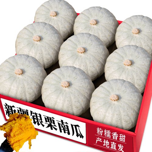 银栗南瓜|美味可口|美味辅食力荐