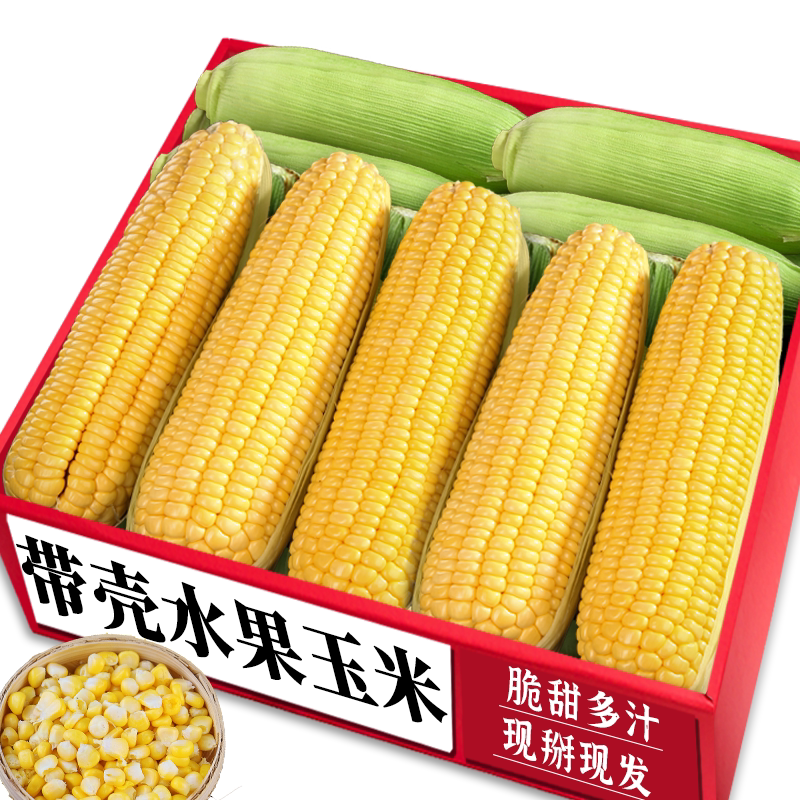 水果玉米！现掰玉米，即食榨汁