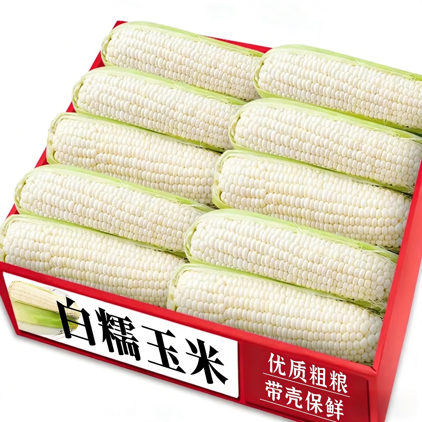 甜糯白糯玉米|带壳保鲜|老农精选