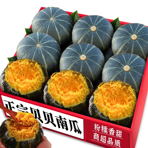 贝贝南瓜！产地直发！轻食代餐