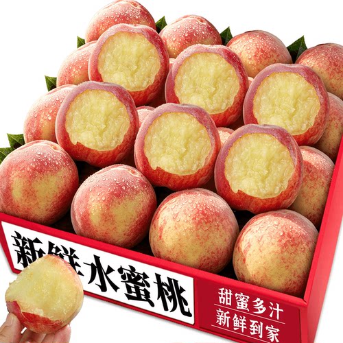 【露天水蜜桃】新鲜当季|精选！