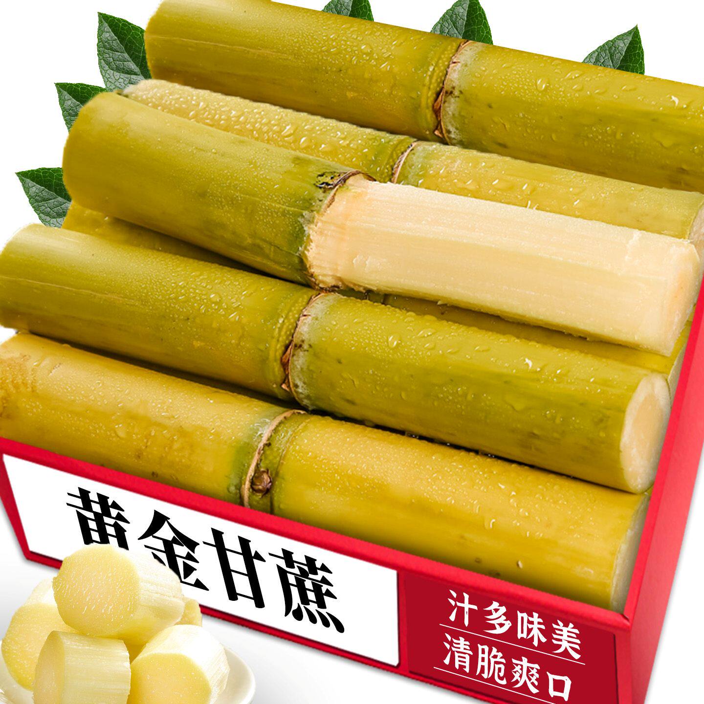 精选黄皮甘蔗|新鲜多汁|商超品质