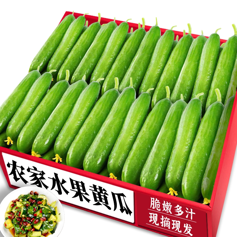 新鲜水果黄瓜|5A级品质|商超精选