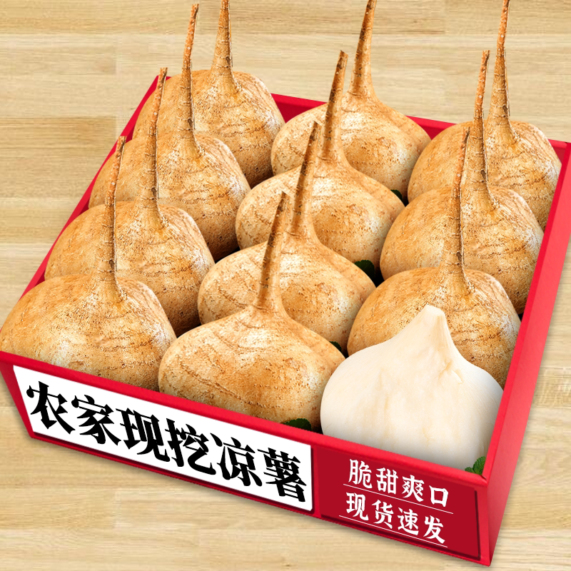 新鲜凉薯|新鲜采摘|脆甜