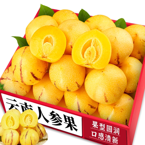 云南人参果|老农精选|皮薄多汁