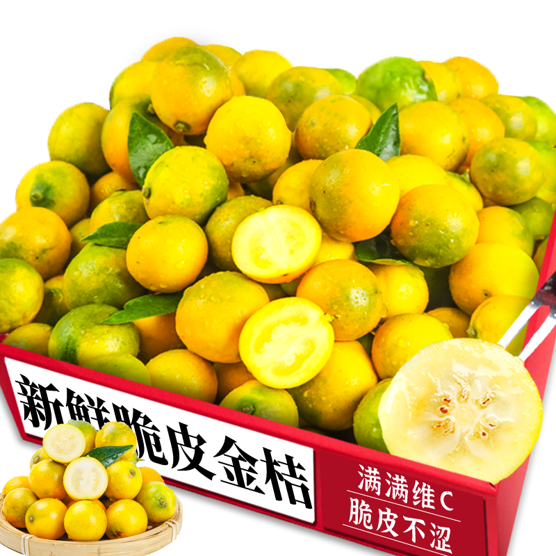 脆皮小金桔|脆甜可口|商超品质