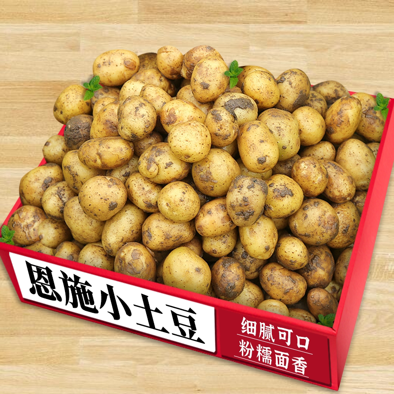 正宗恩施小土豆!新鲜现挖|美味