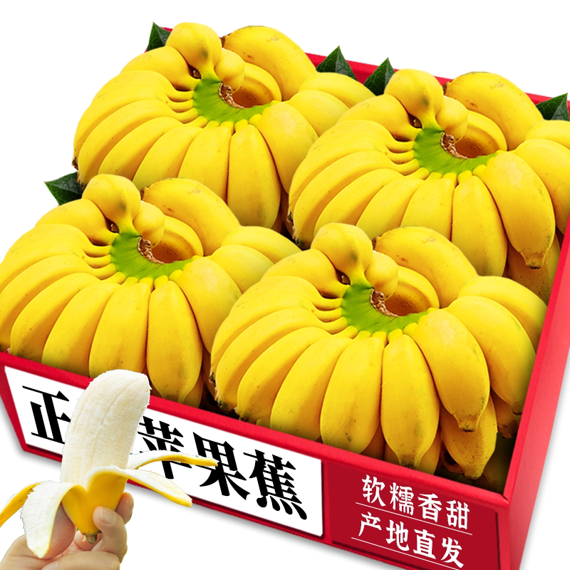 新鲜苹果蕉!营养美味!老农力荐