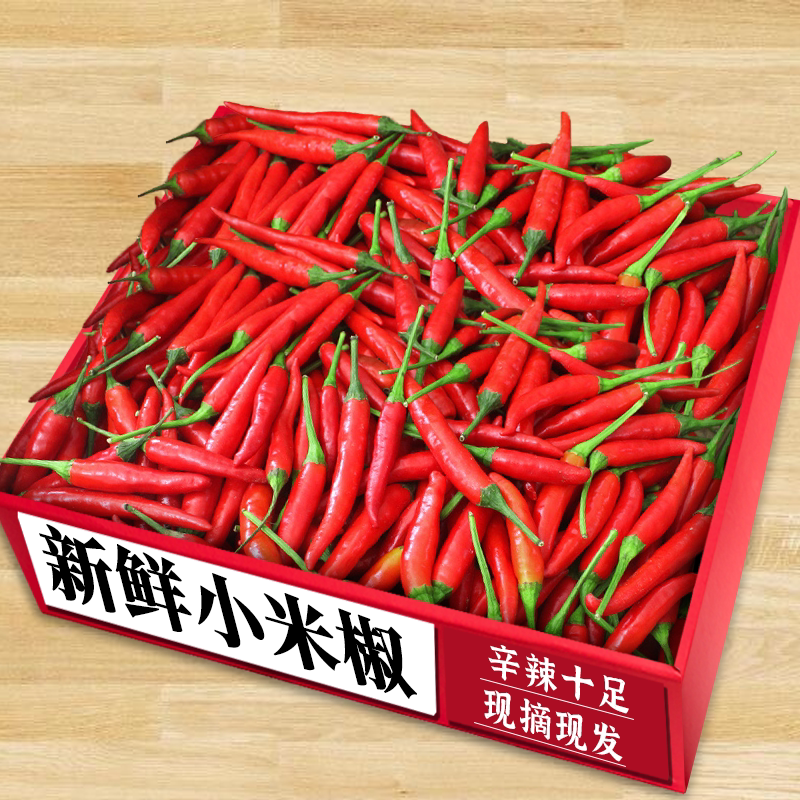 小米椒农家自种!辛辣十足朝天椒