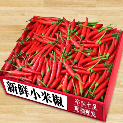 新鲜小米辣现摘红小米椒朝天椒