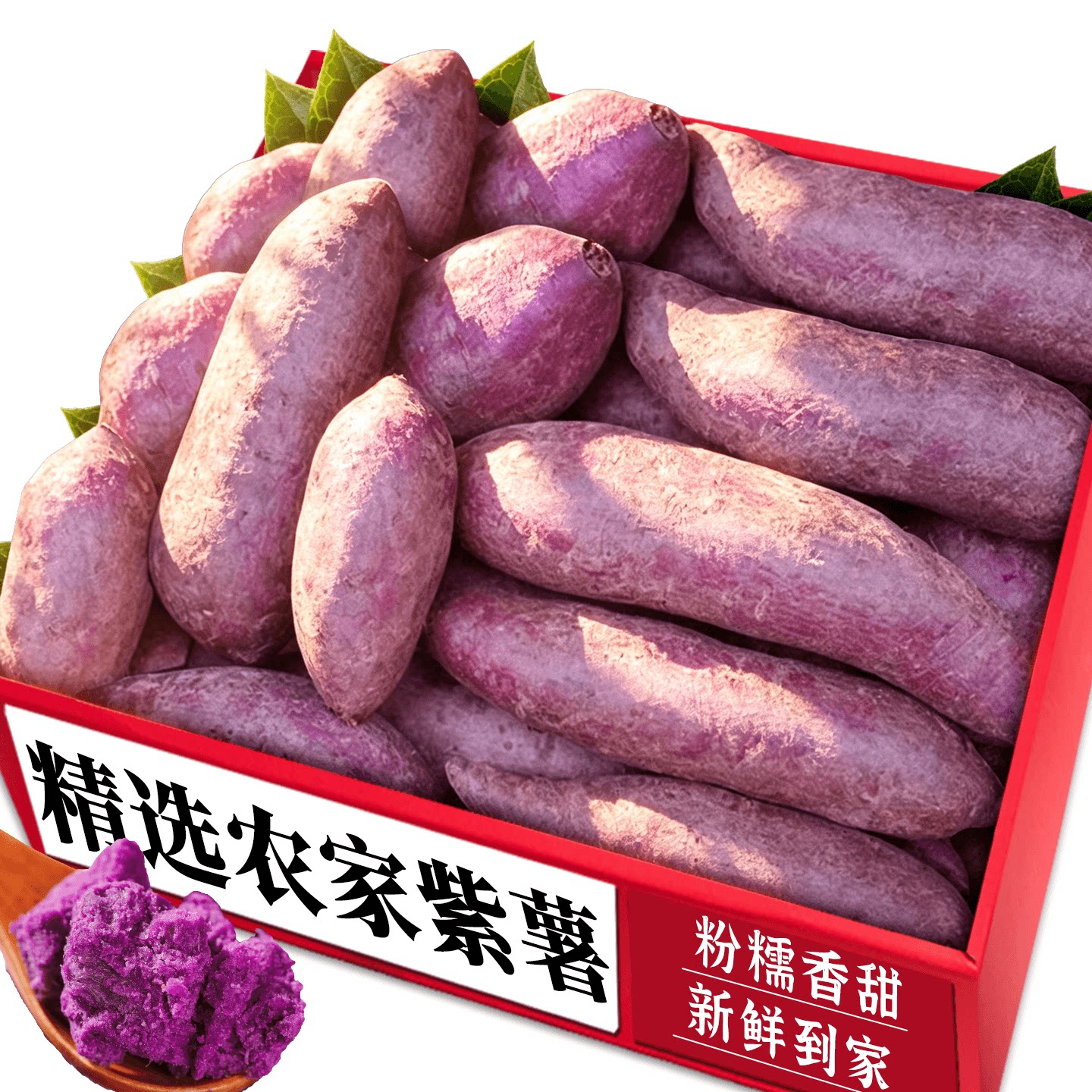 新鲜紫罗兰农家紫薯!产地直发