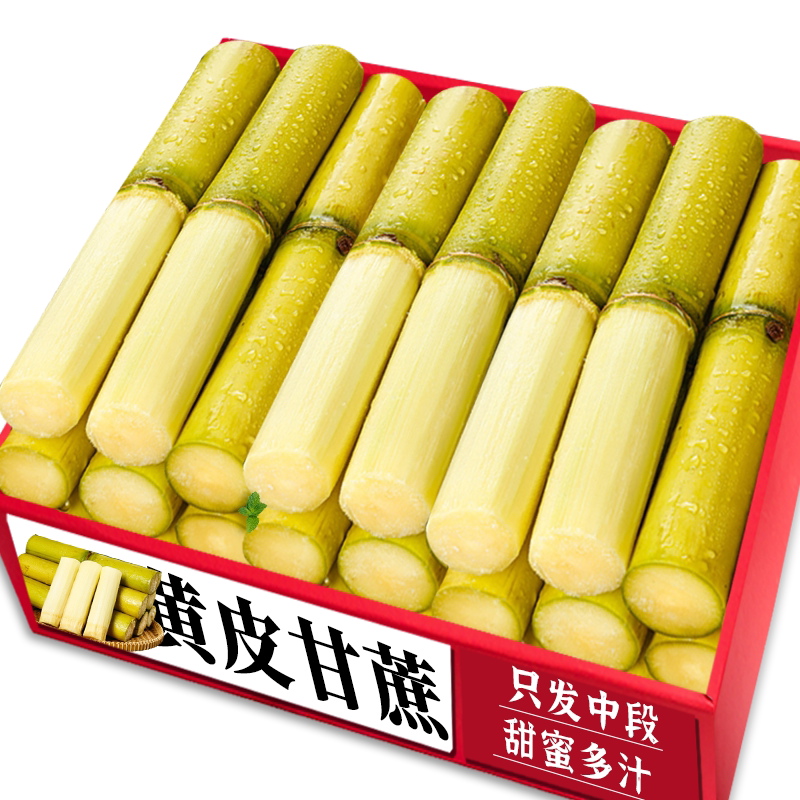 脆甜黄皮甘蔗精选中段脆甜爽口黄皮甘蔗当地自种甘蔗水果现砍多汁
