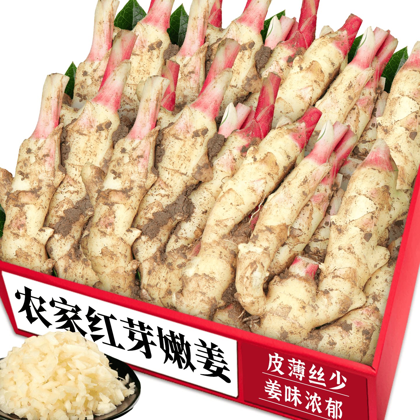 农家红芽嫩姜！老农力荐营养美味