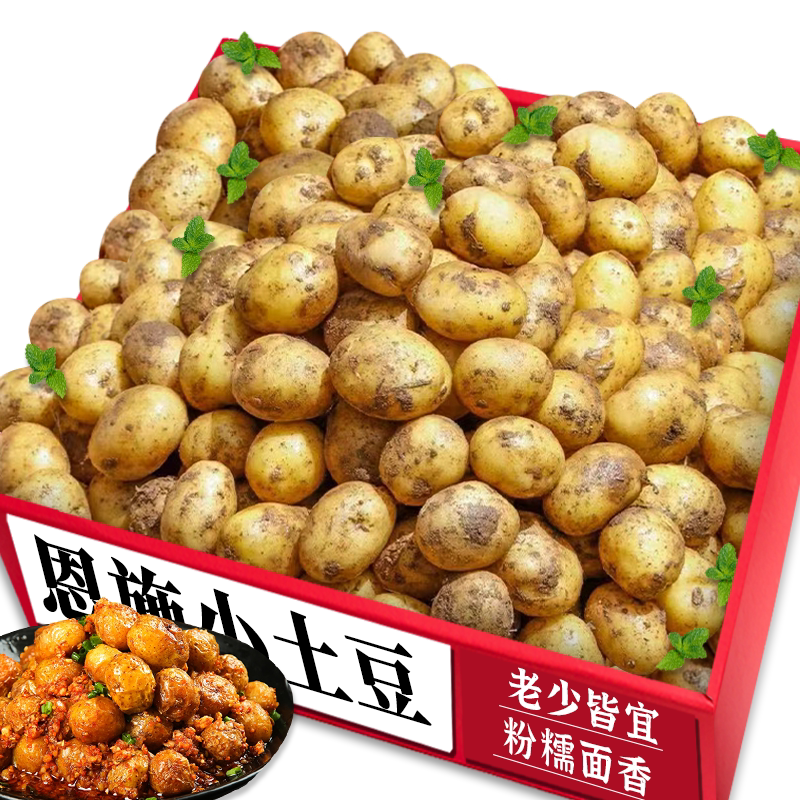 【恩施小土豆】粉糯细腻老农现挖