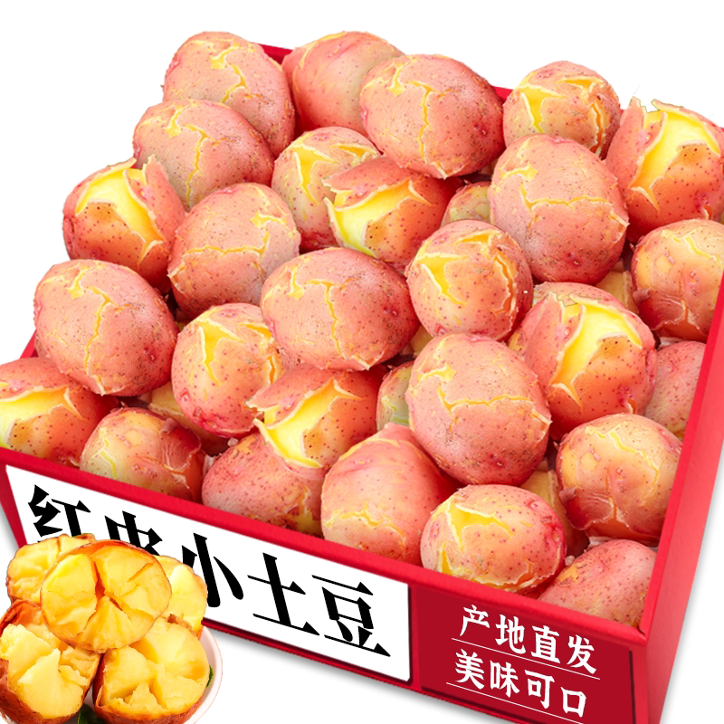 农家红皮土豆|新鲜现挖|美味可口